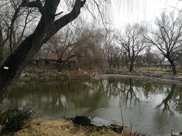 王勋－朗润春色水先知