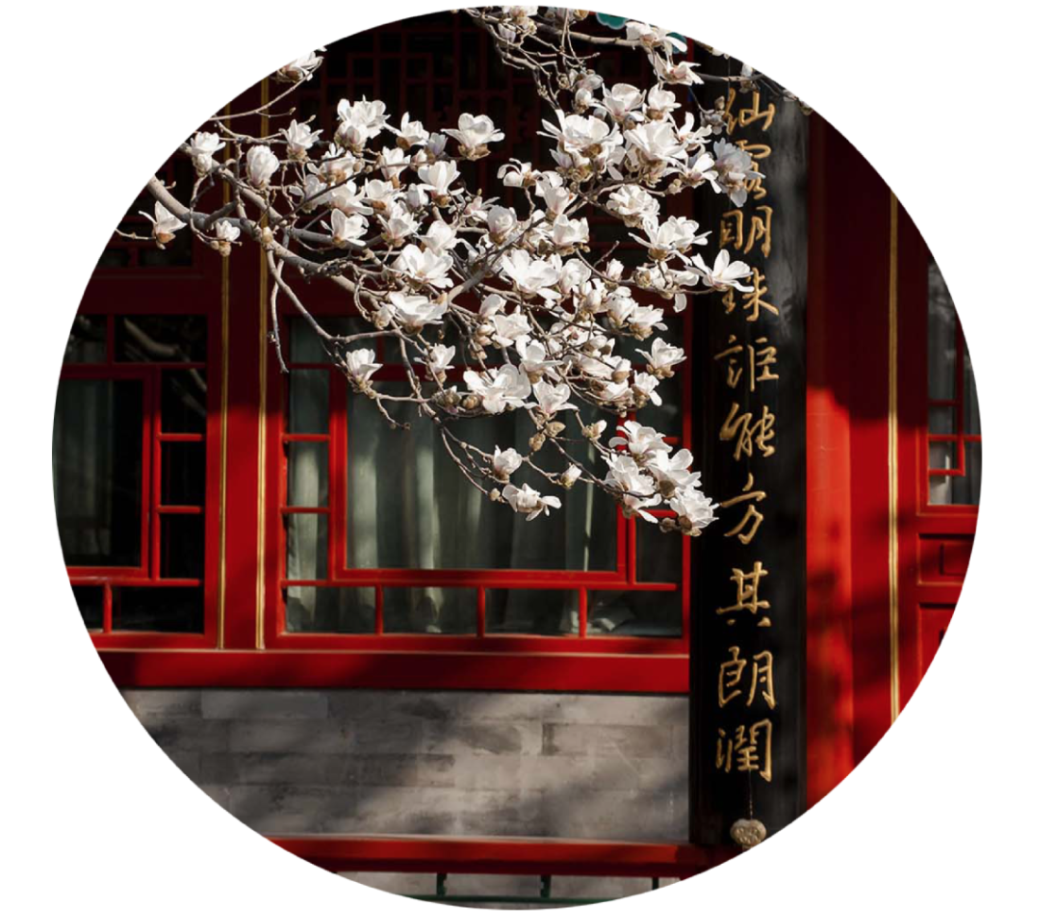 //mmbiz.qpic.cn/mmbiz_png/icYYtflJnb6lCX5HMKlvk9B9hESB9JgWJS9vLFSnrI9RB7BEcsdWqicPia6T3RXsoPxMiak3p4CebG9jJPP3SUwchA/640?wx_fmt=png
