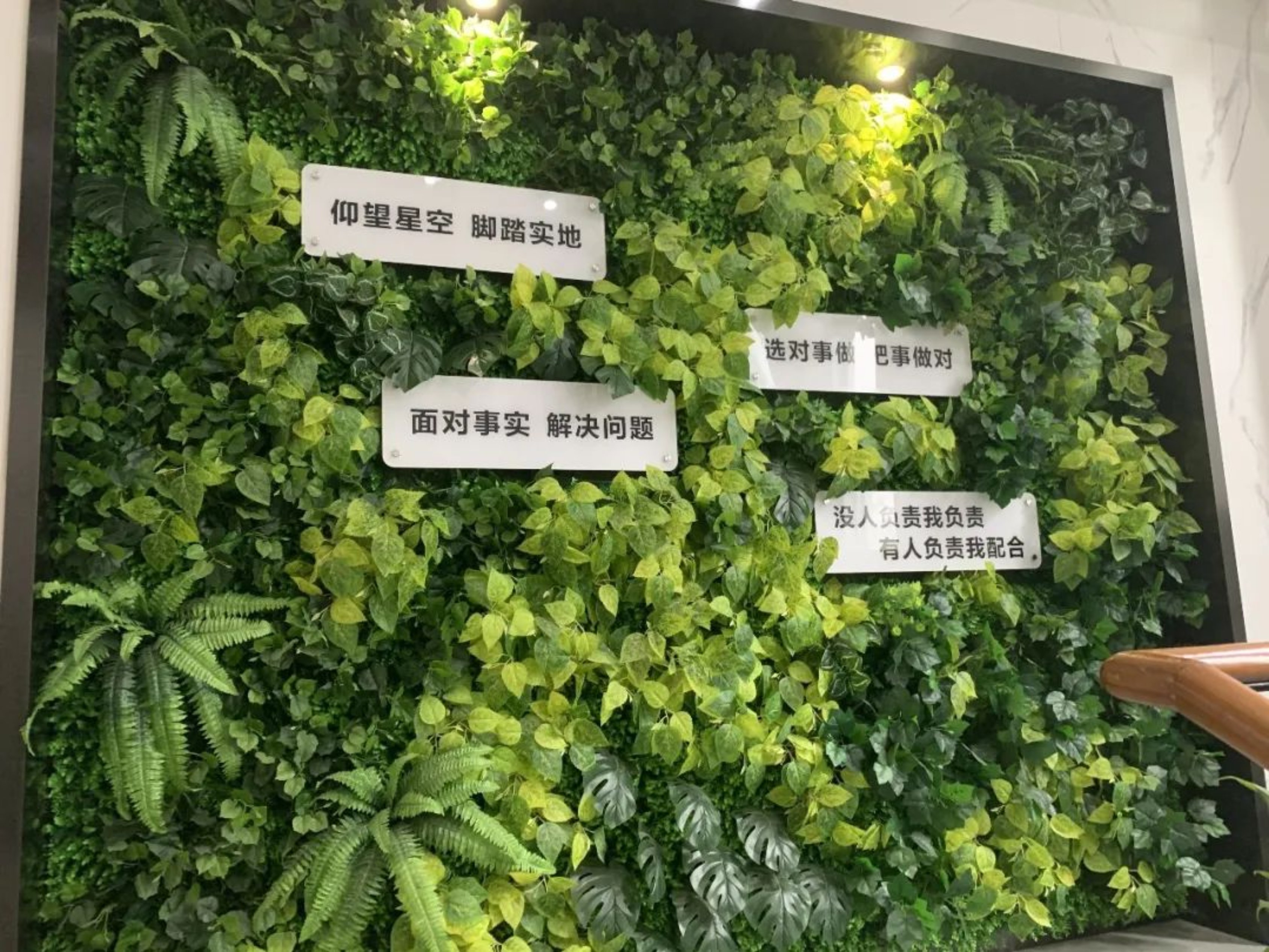 //mmbiz.qpic.cn/mmbiz_jpg/JepwNq5sNR3sgBDAg5dEGKGJ8CjzxjcvqGWS2jIaWml7sVicCxzxkdmn2UR0Sgx4ApPIoQqF7sWOSaQUmqLHaaw/640?wx_fmt=jpeg