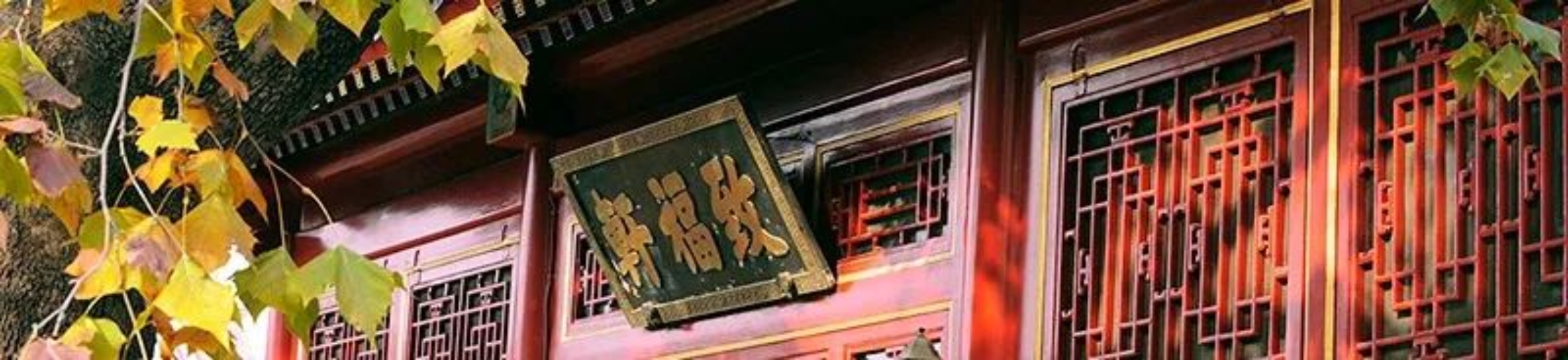 //mmbiz.qpic.cn/mmbiz_jpg/ibGh4lTFYyo9TUlAibCg3uxCcs8FnxSrAG1ILMwiaQib1MxqQqD5ic2EoPEF3bsY9dmJPXBoSy4JaDFAkmcGnqF0vsg/640?wx_fmt=jpeg