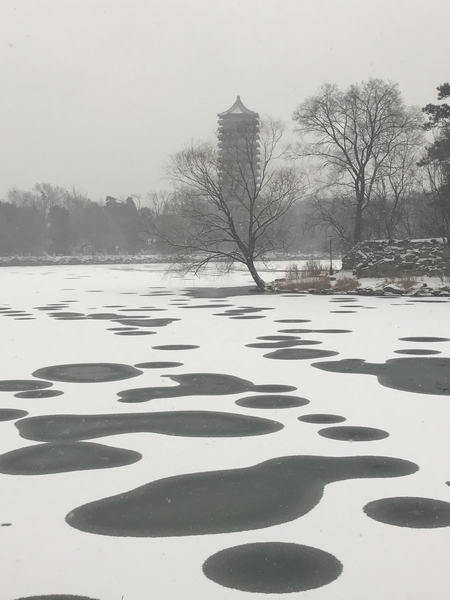 谢绚丽-波普未名湖