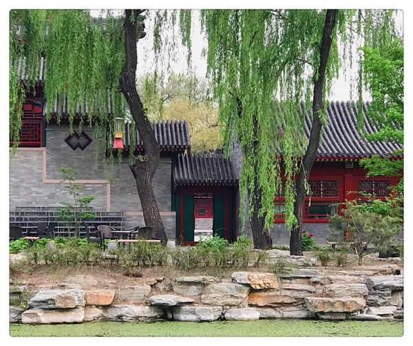 张丹丹－一帘幽梦