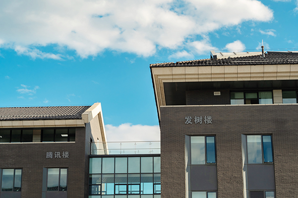 _DSC0218a