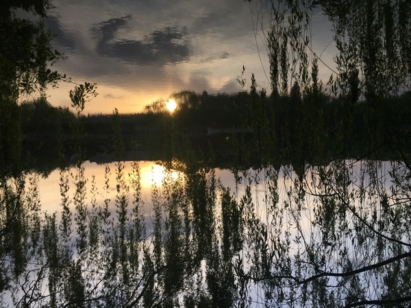 陈柳利－夕阳美